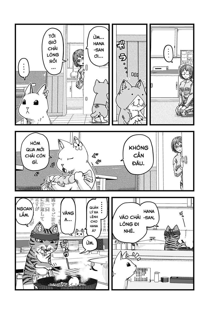 Quán Ramen Mèo Đỏ Chap 2 - Next Chap 3