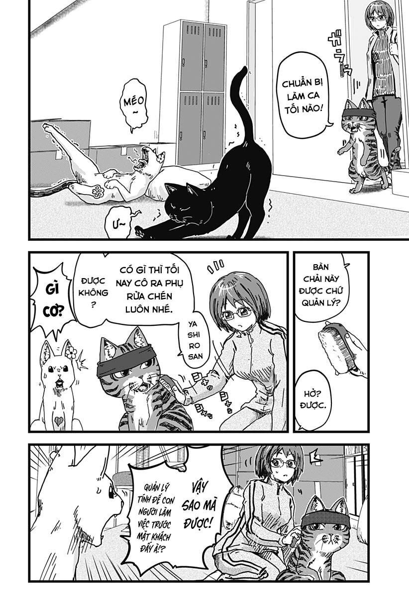 Quán Ramen Mèo Đỏ Chap 3 - Next Chap 4