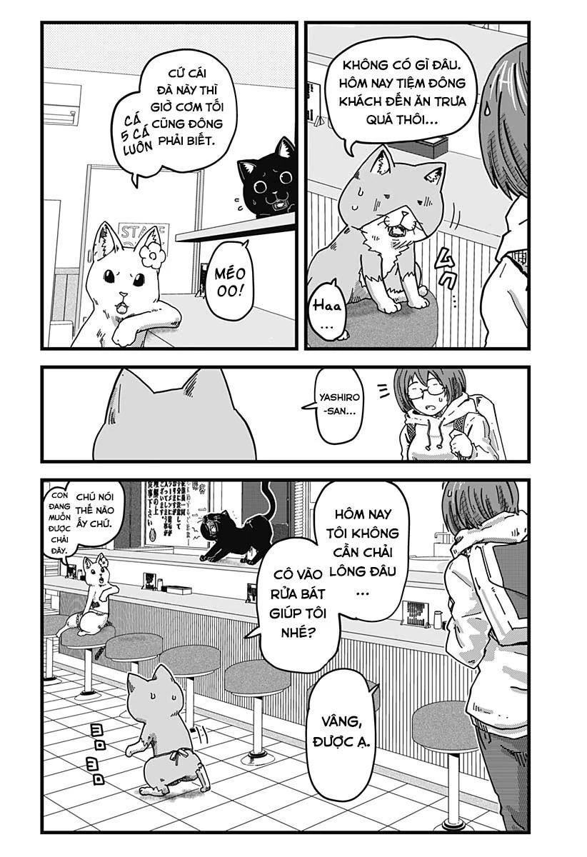 Quán Ramen Mèo Đỏ Chap 7 - Next Chap 8