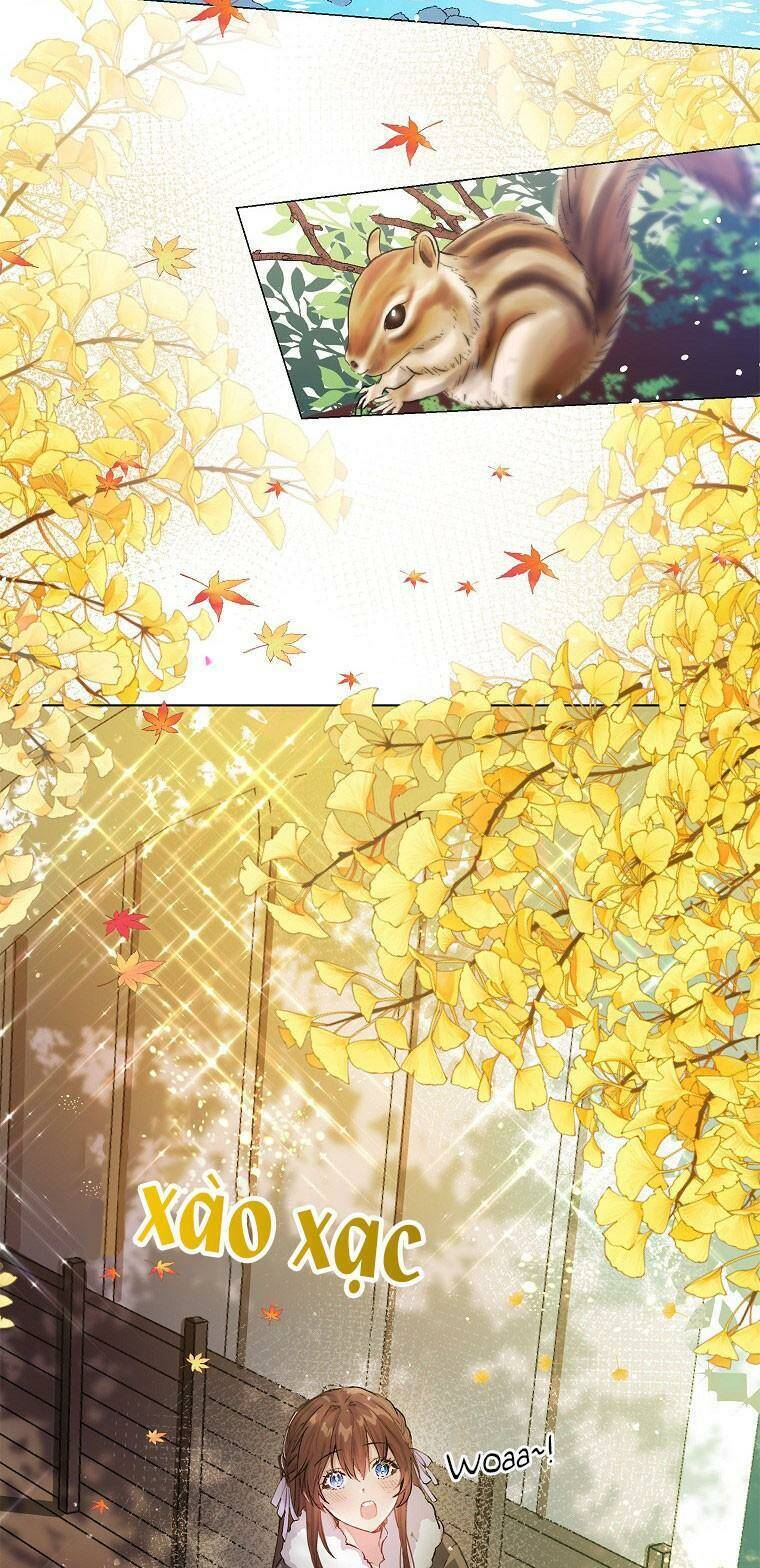 Quãng Đời Còn Lại Của Nữ Phụ Yểu Mệnh Chap 1 - Next Chap 2