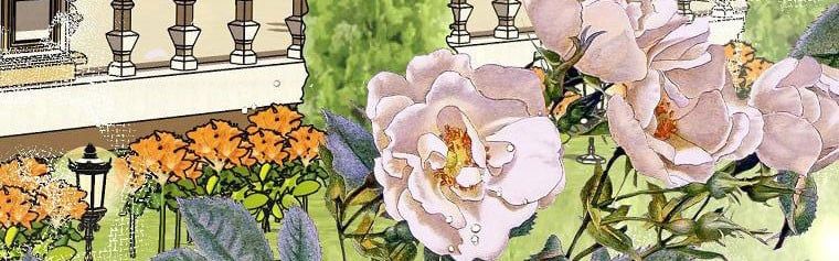 Quãng Đời Còn Lại Của Nữ Phụ Yểu Mệnh Chap 385 - Next Chap 386