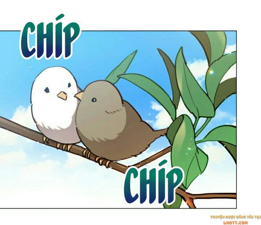 Quý Cô Khó Gần Chap 2 - Next Chap 3