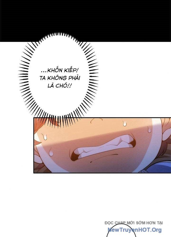 Ranker Sss Được Chọn Chap 2 - Next Chap 3