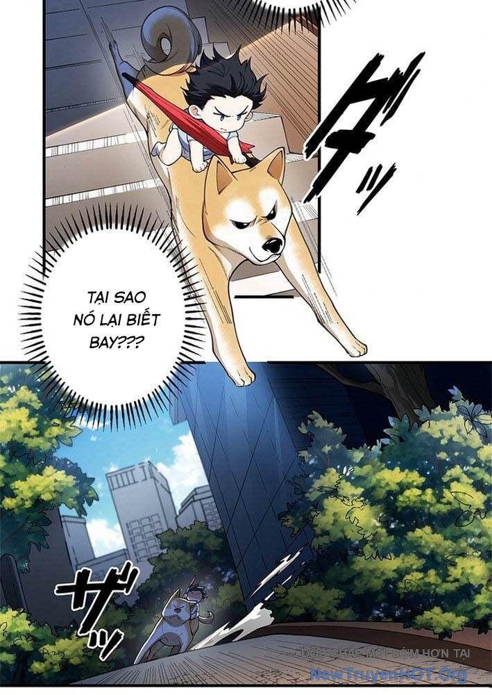 Ranker Sss Được Chọn Chap 3 - Next Chap 4