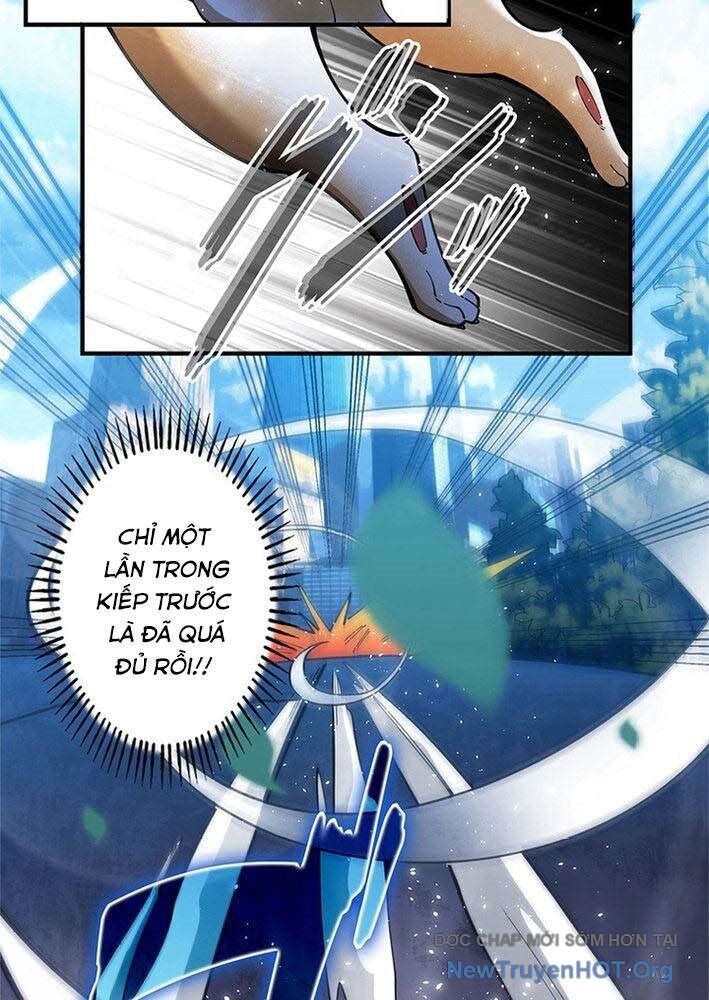 Ranker Sss Được Chọn Chap 3 - Next Chap 4