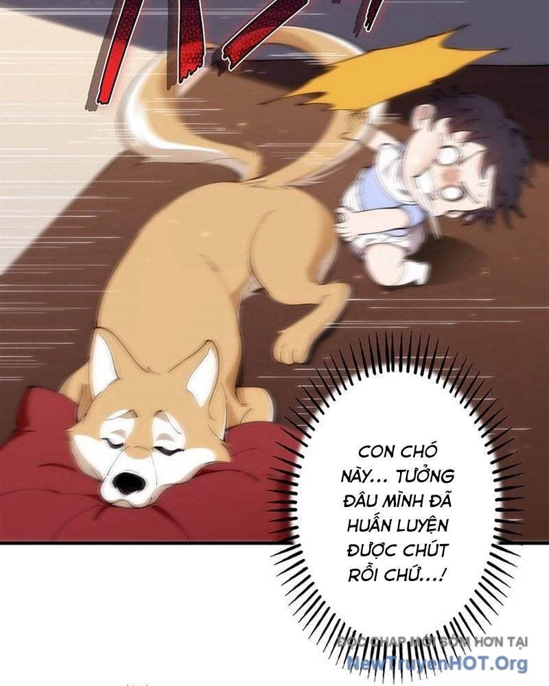 Ranker Sss Được Chọn Chap 5 - Next Chap 6