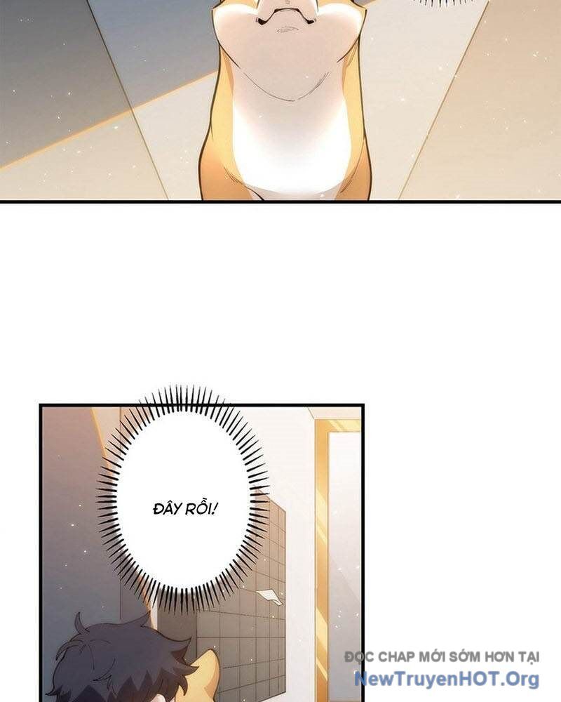 Ranker Sss Được Chọn Chap 5 - Next Chap 6
