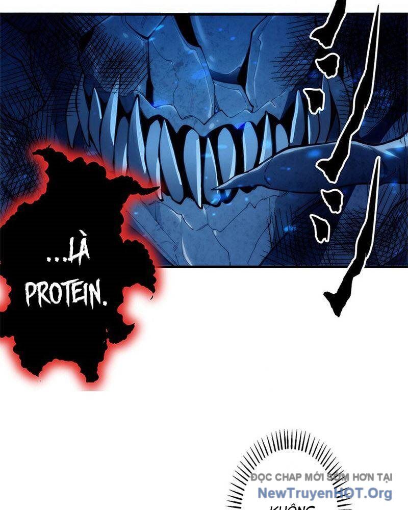 Ranker Sss Được Chọn Chap 6 - Next Chap 7