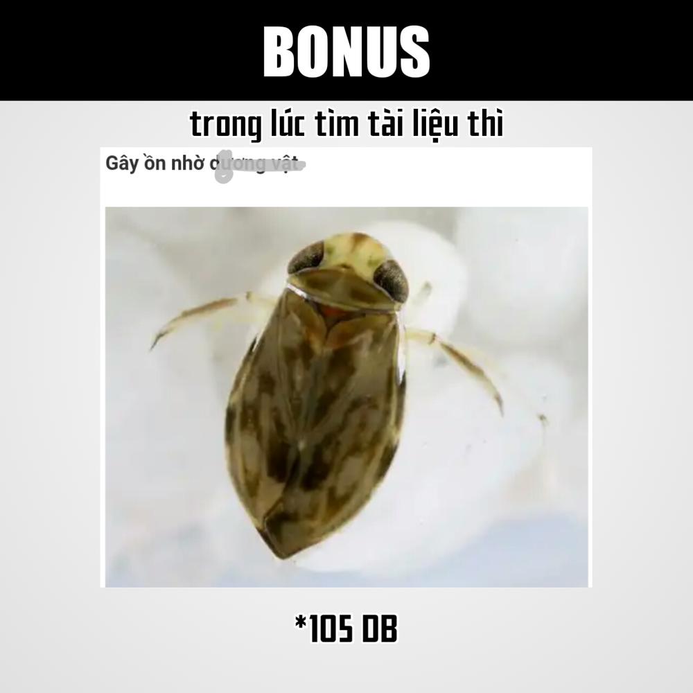 Real Account Ii Chap 64 - Next Chap 65