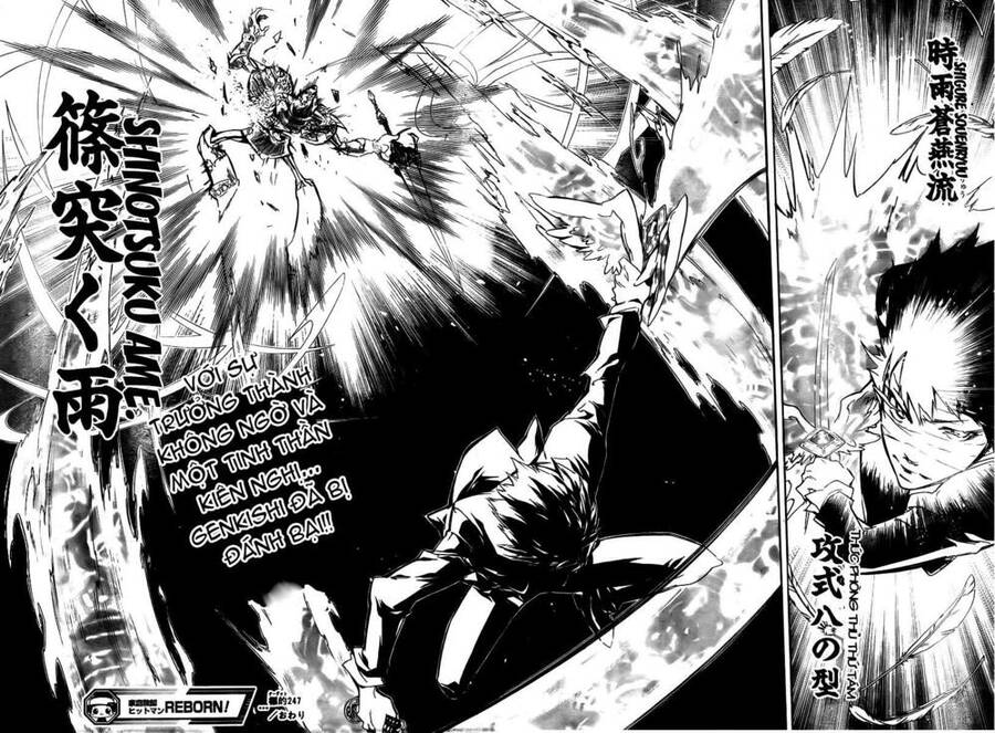 Reborn: Người Đào Tạo Sát Thủ Chap 247 - Next Chap 248