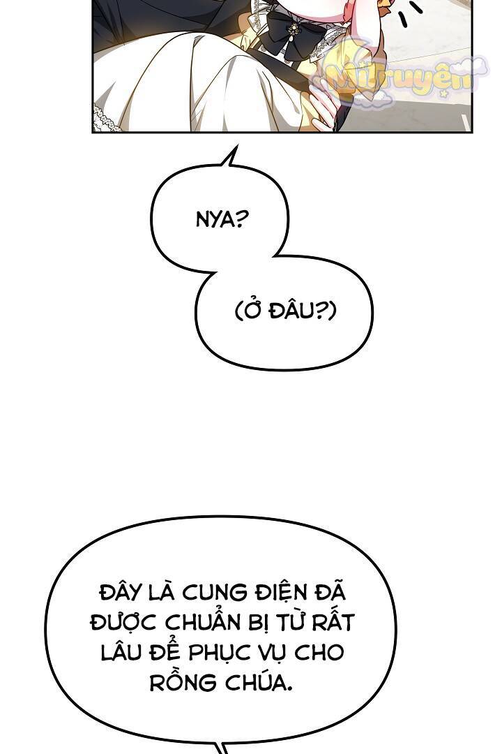 Rồng Con Thuần Hóa Những Kẻ Điên Rồ Chap 15 - Next Chap 16