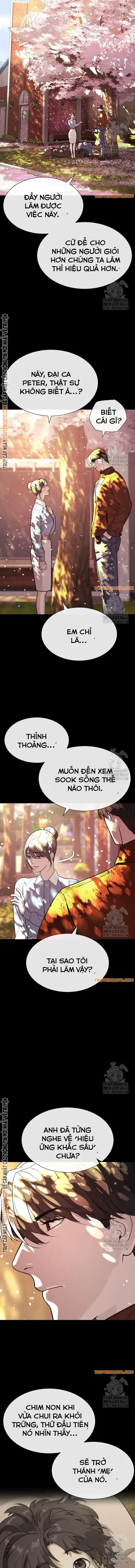 Sát Thủ Peter Chap 83 - Next Chap 84