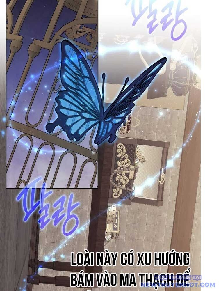 Sát Thủ Tái Sinh Thành Một Kiếm Sĩ Thiên Tài Chap 59 - Next Chap 60