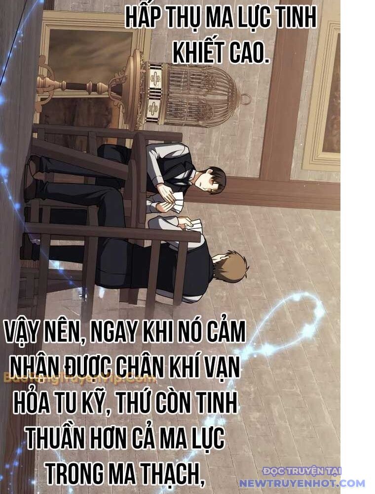 Sát Thủ Tái Sinh Thành Một Kiếm Sĩ Thiên Tài Chap 59 - Next Chap 60
