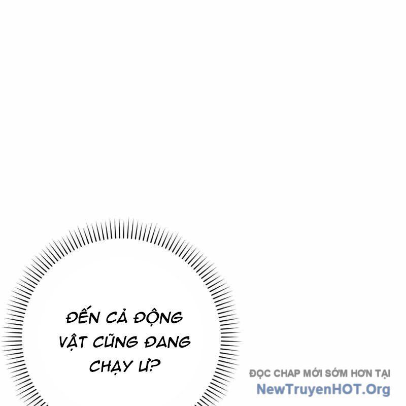 Sát Thủ Tái Sinh Thành Một Kiếm Sĩ Thiên Tài Chap 71 - Next Chap 72