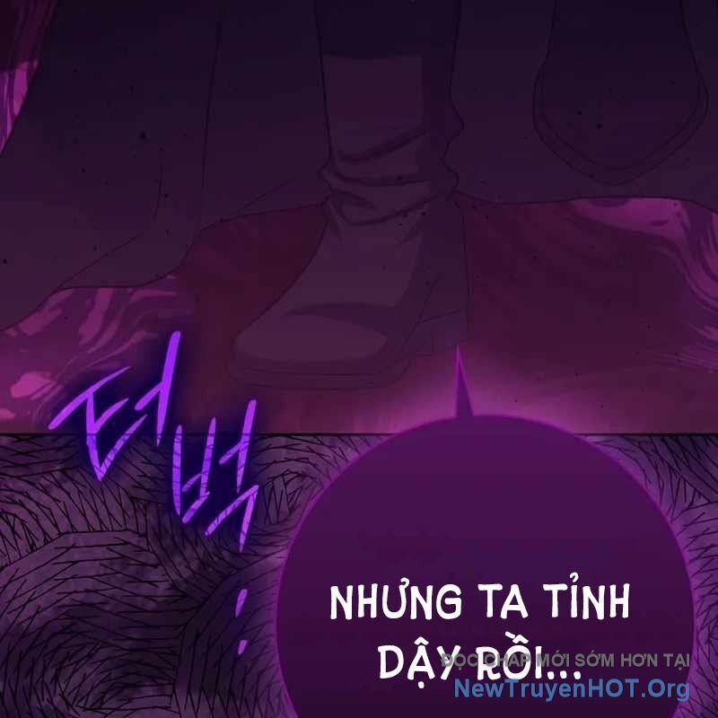 Sát Thủ Tái Sinh Thành Một Kiếm Sĩ Thiên Tài Chap 71 - Next Chap 72