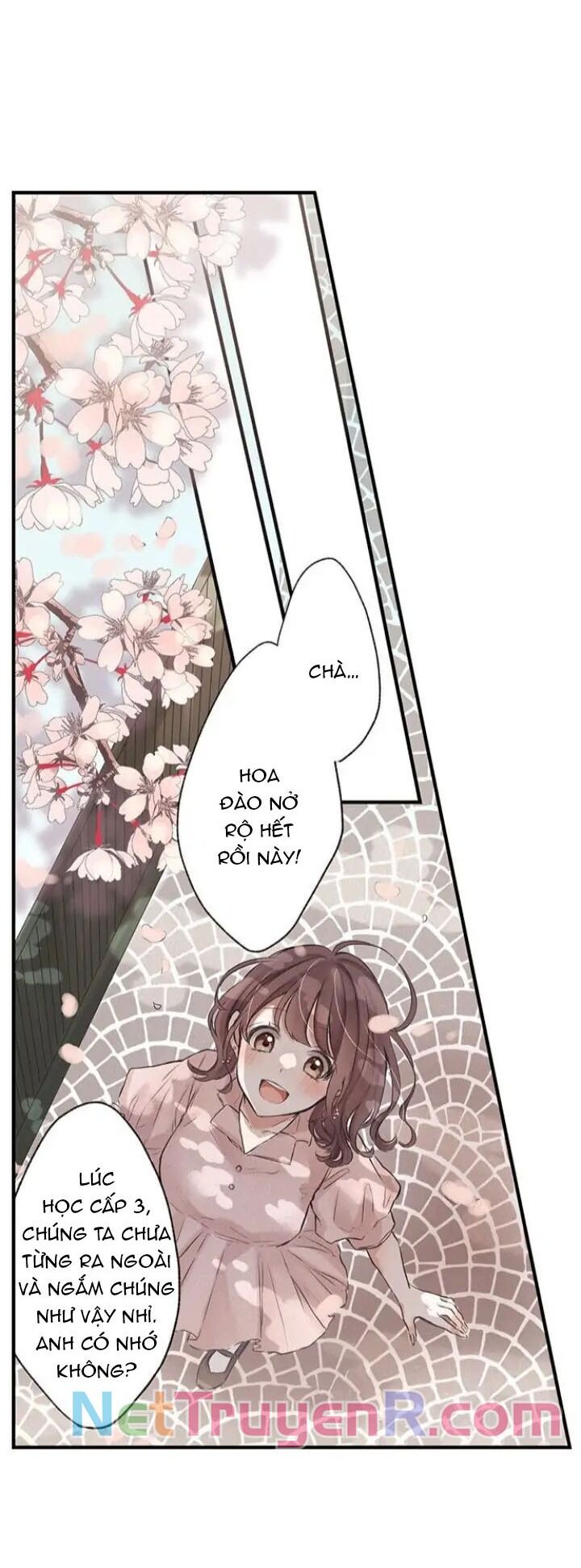 Sau 3 Năm, Tôi Quay Lại Với Người Yêu Cũ Chap 18 - Next Chap 19