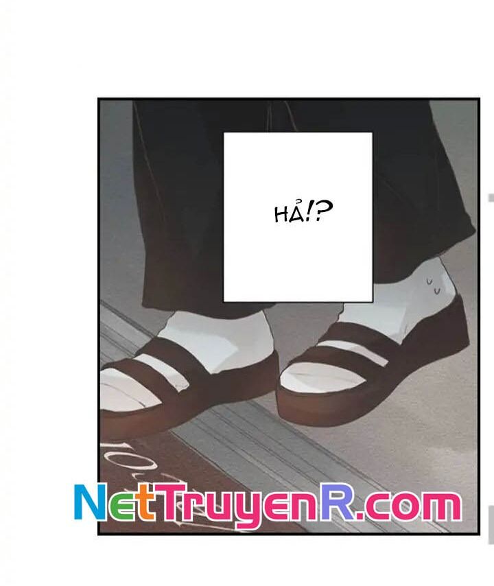 Sau 3 Năm, Tôi Quay Lại Với Người Yêu Cũ Chap 5 - Next Chap 6