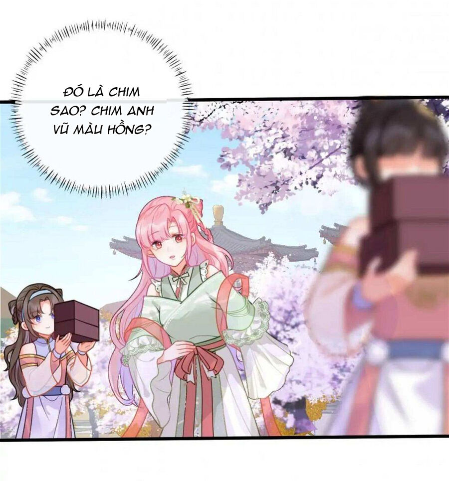 Sau Khi Công Chúa Bội Tình Bạc Nghĩa Chap 23 - Next Chap 24