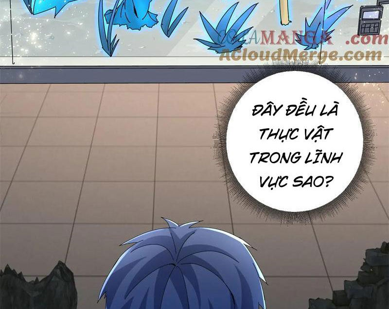 Sau Khi Sống Lại Ở Mạt Thế, Ta Điên Cuồng Thăng Cấp Chap 34 - Next Chap 35