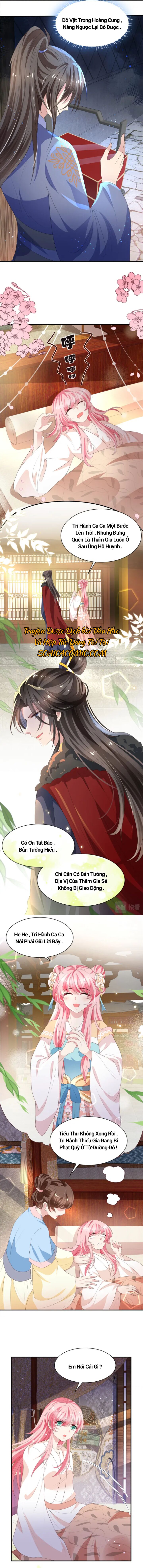 Sau Khi Trọng Sinh Mỗi Ngày Ta Đều Công Lược Kẻ Thù Chap 4 - Next Chap 5