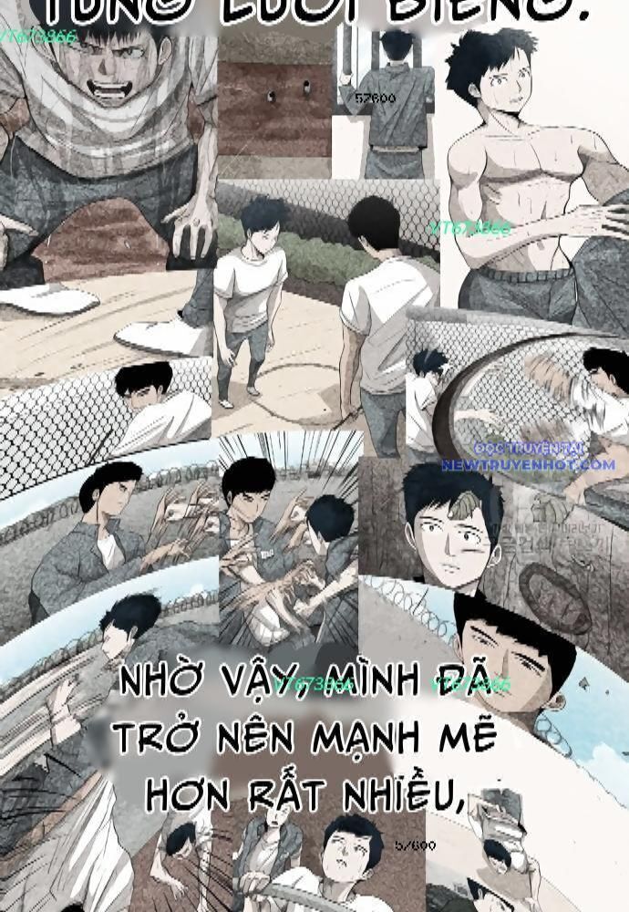 Shark - Cá Mập Chap 273 - Next Chap 274