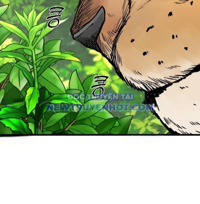 Shark - Cá Mập Chap 346 - Next Chap 347