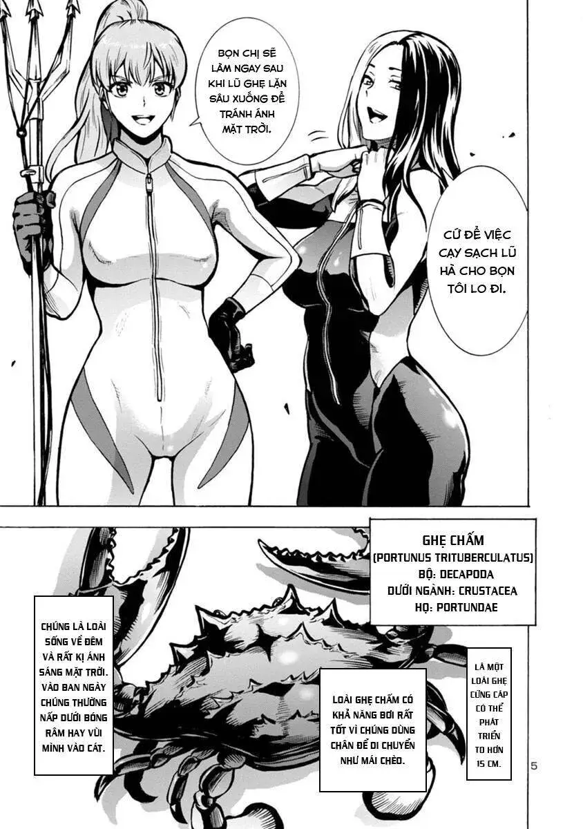 Siêu Đảo Côn Trùng Chap 231 - Next Chap 232