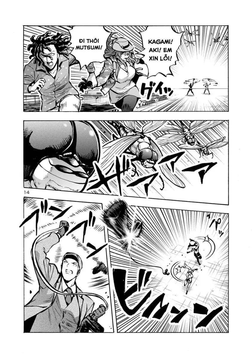 Siêu Đảo Côn Trùng Chap 232 - Next Chap 233