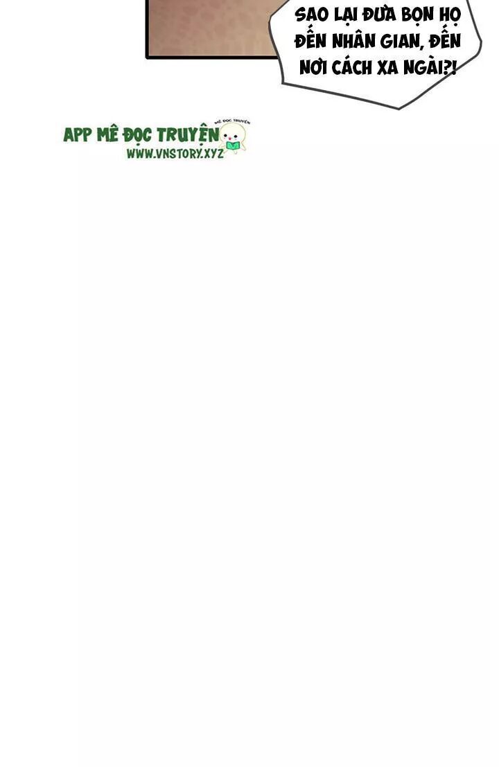 Sinh Hạ Long Chủng Chap 126 - Next Chap 127