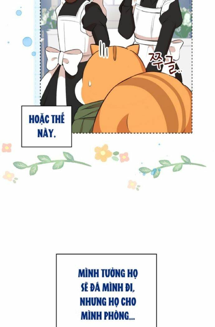 Sóc Nhỏ Tài Năng Chap 10 - Next Chap 11