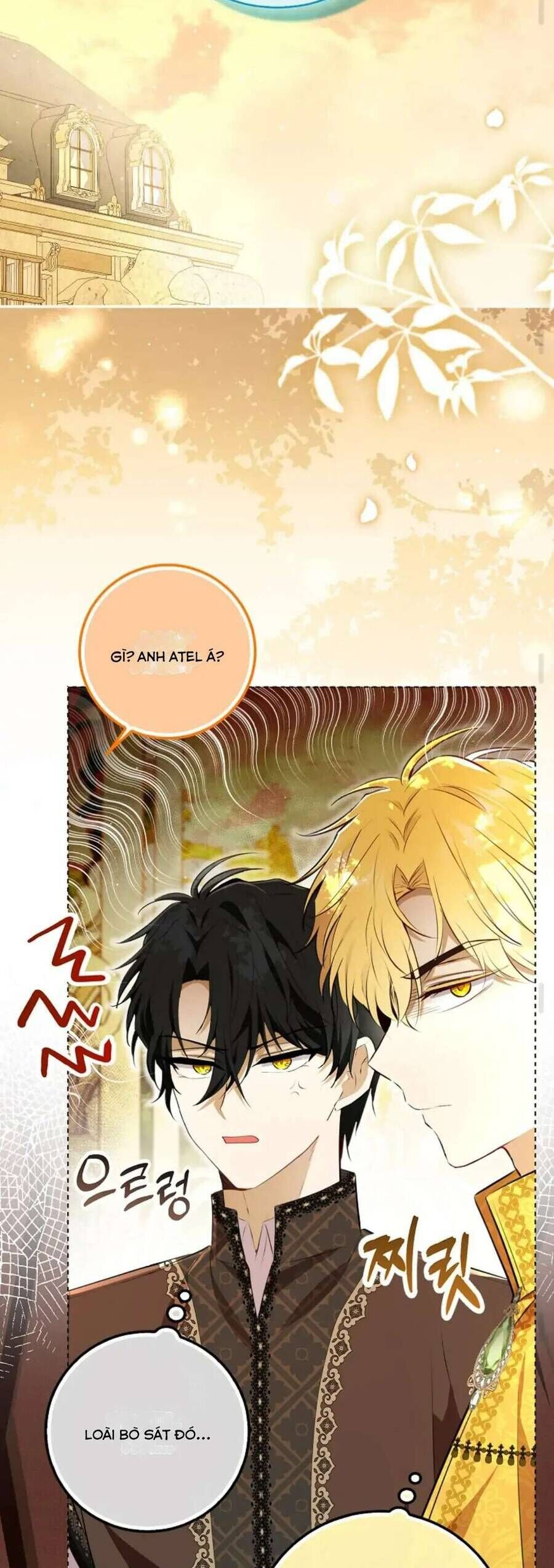 Sóc Nhỏ Tài Năng Chap 100 - Next Chap 101
