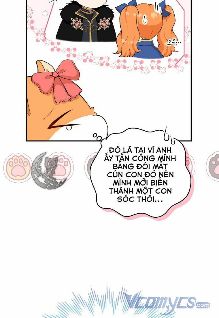 Sóc Nhỏ Tài Năng Chap 11 - Next Chap 12