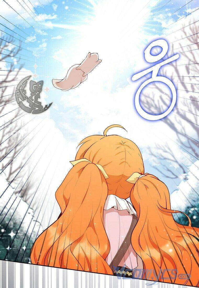 Sóc Nhỏ Tài Năng Chap 12 - Next Chap 13