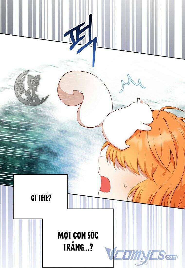 Sóc Nhỏ Tài Năng Chap 12 - Next Chap 13