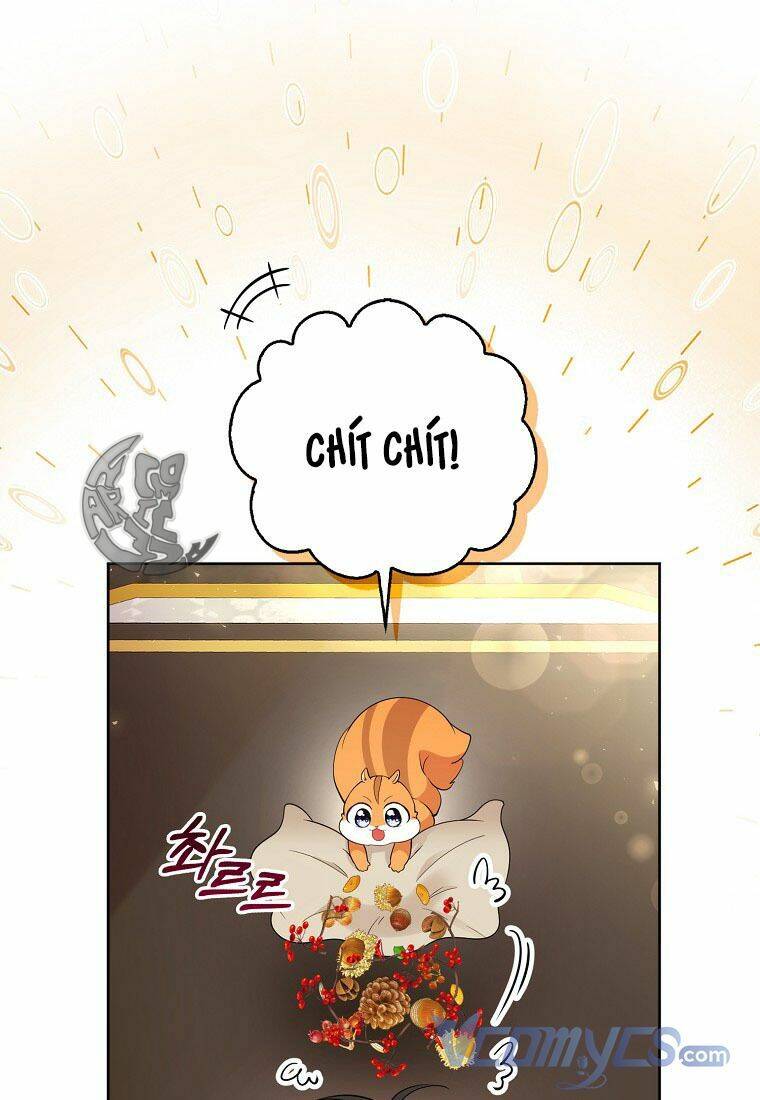 Sóc Nhỏ Tài Năng Chap 12 - Next Chap 13