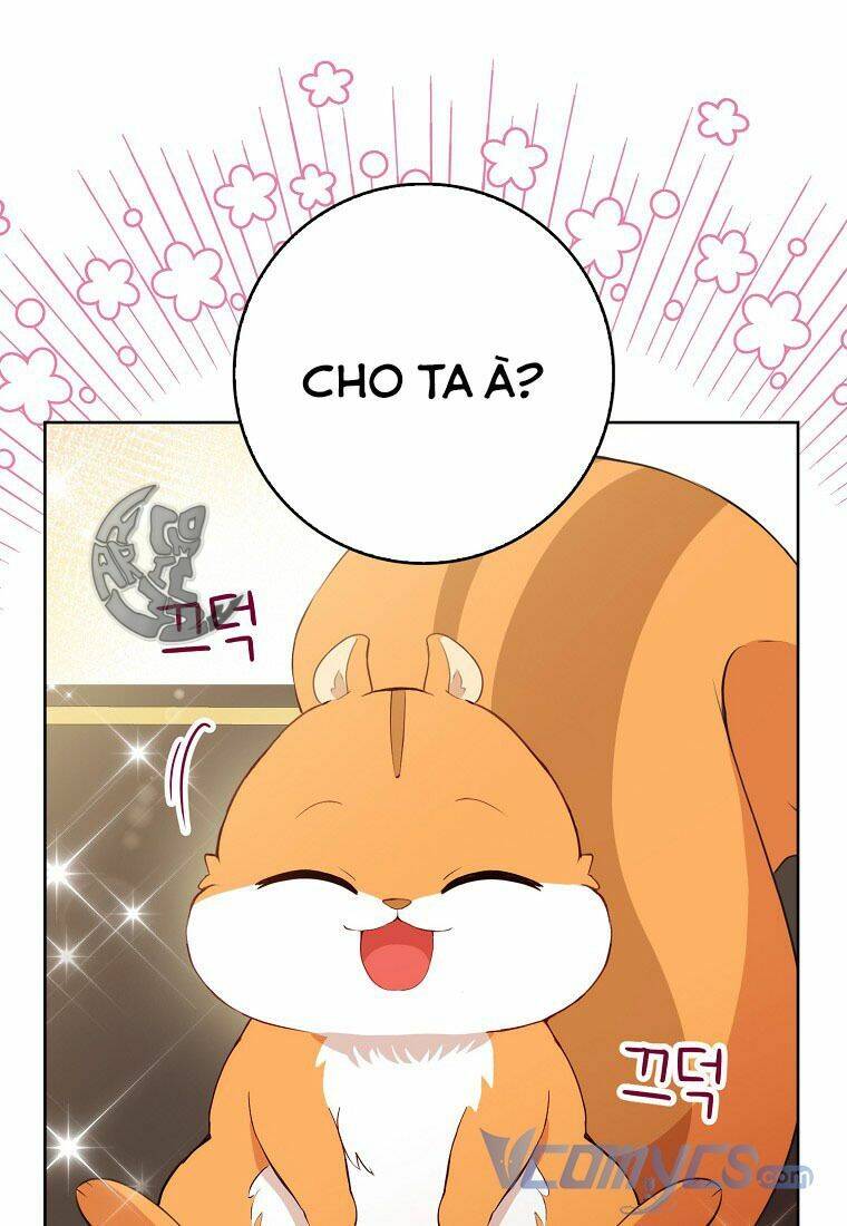 Sóc Nhỏ Tài Năng Chap 12 - Next Chap 13