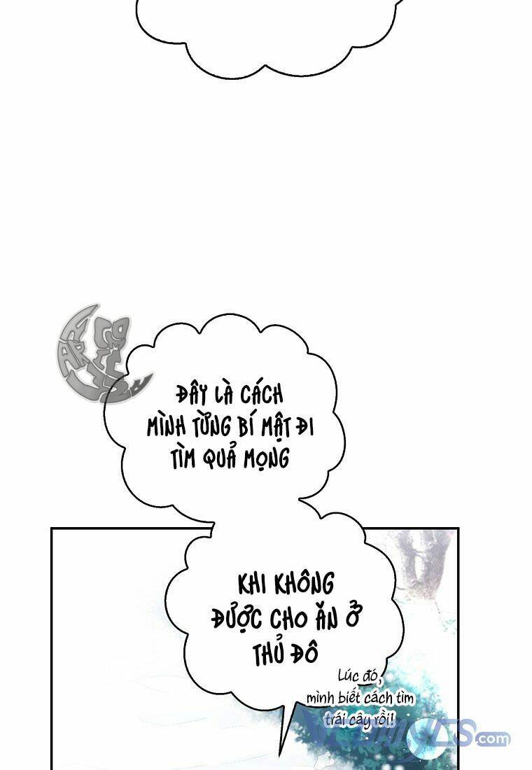 Sóc Nhỏ Tài Năng Chap 12 - Next Chap 13