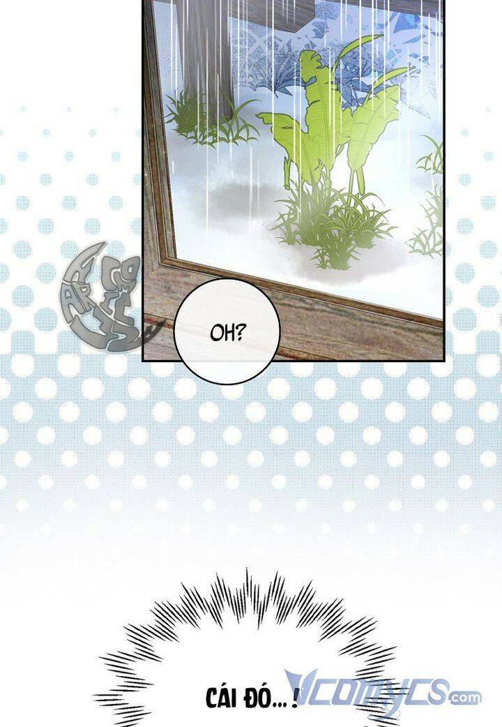 Sóc Nhỏ Tài Năng Chap 15 - Next Chap 16