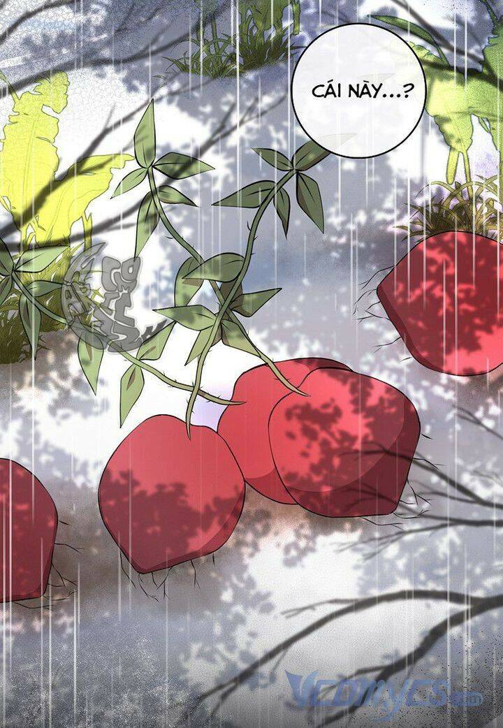 Sóc Nhỏ Tài Năng Chap 15 - Next Chap 16