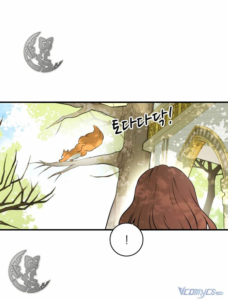 Sóc Nhỏ Tài Năng Chap 2 - Next Chap 3
