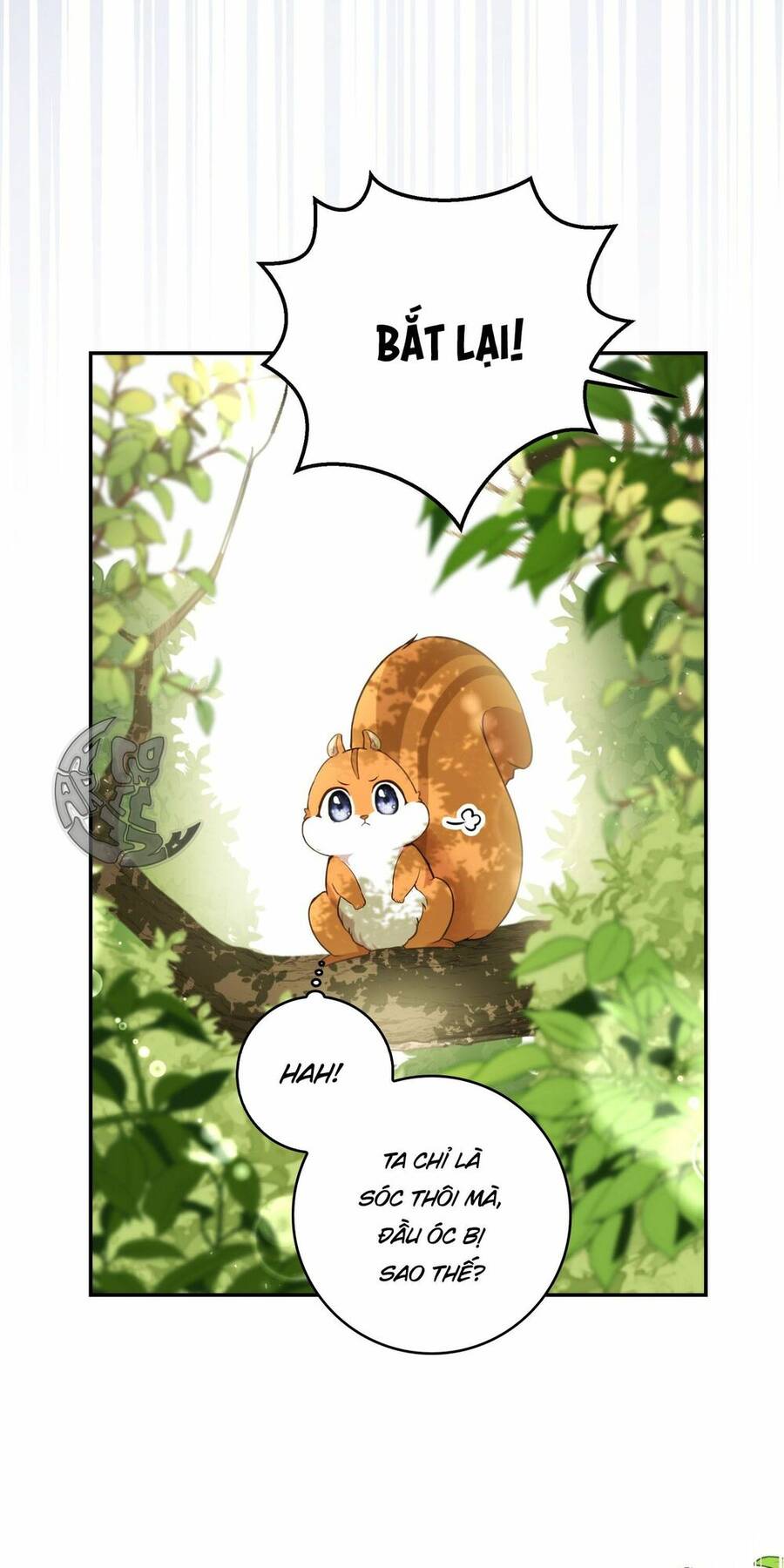 Sóc Nhỏ Tài Năng Chap 2 - Next Chap 3