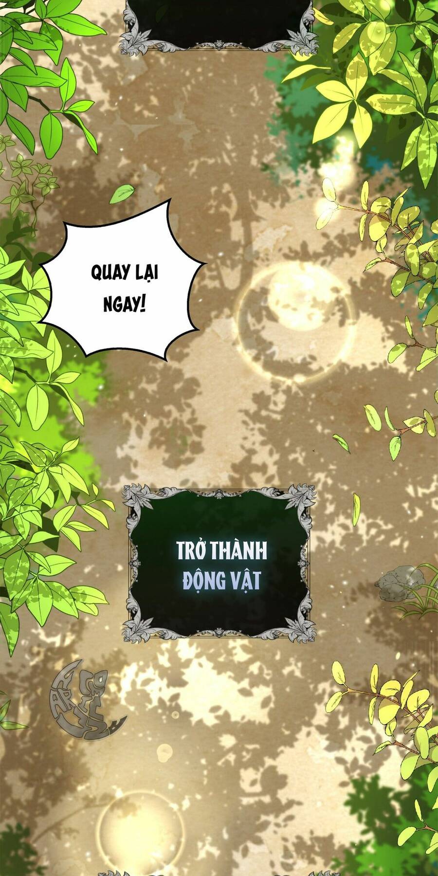 Sóc Nhỏ Tài Năng Chap 2 - Next Chap 3