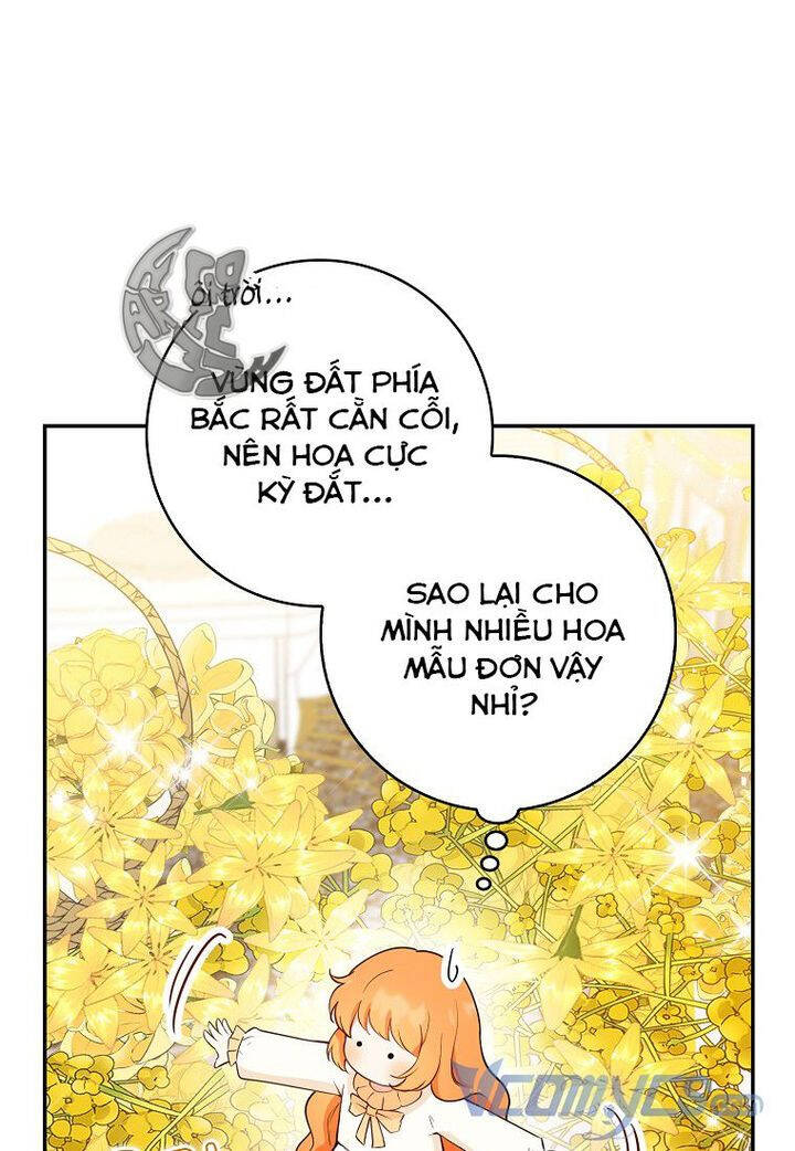 Sóc Nhỏ Tài Năng Chap 21 - Next Chap 22