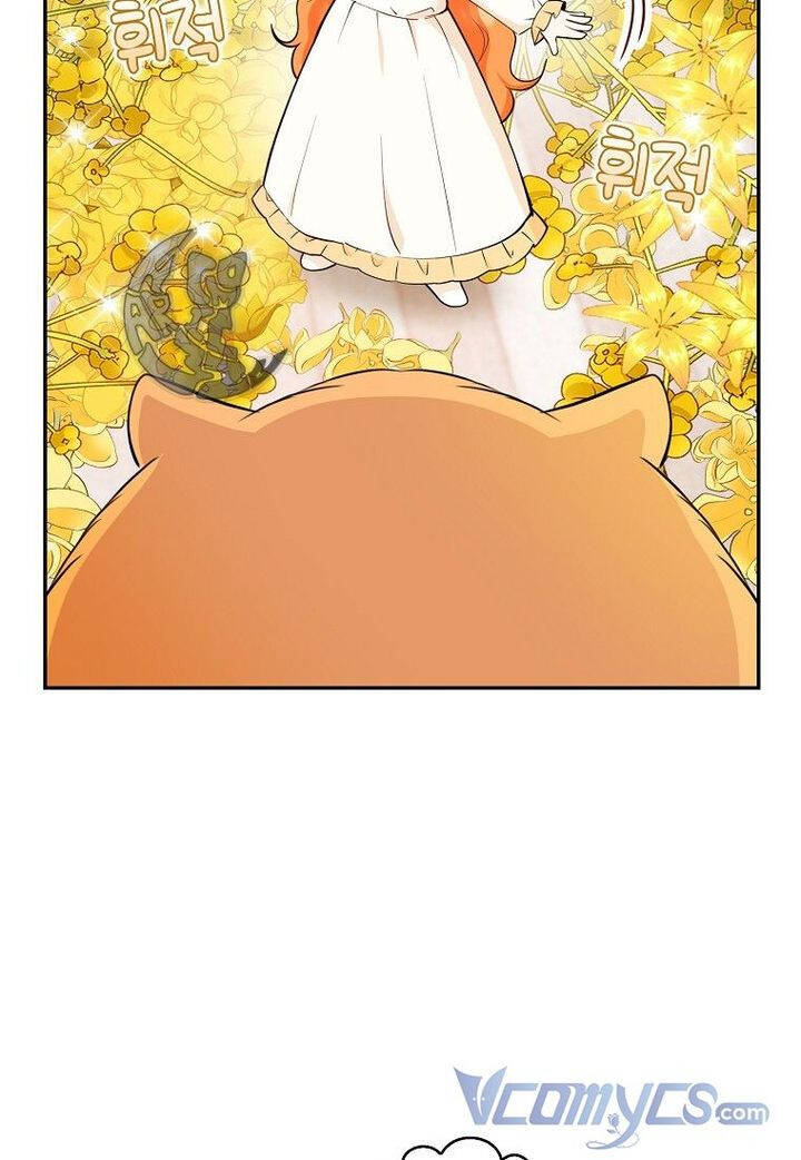 Sóc Nhỏ Tài Năng Chap 21 - Next Chap 22