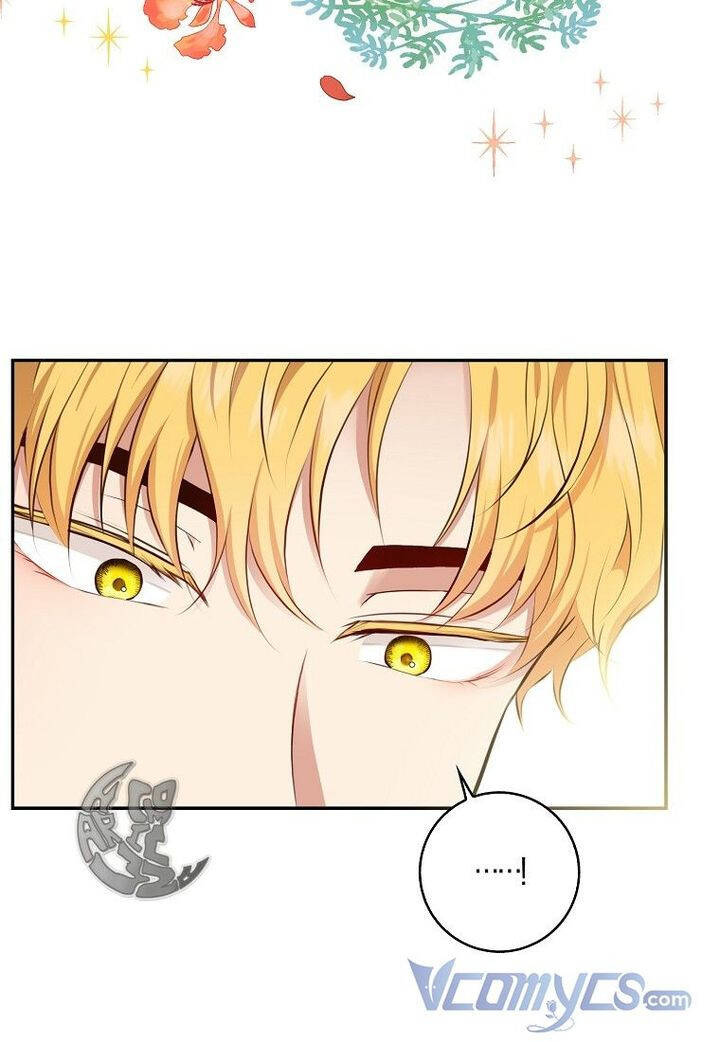 Sóc Nhỏ Tài Năng Chap 21 - Next Chap 22