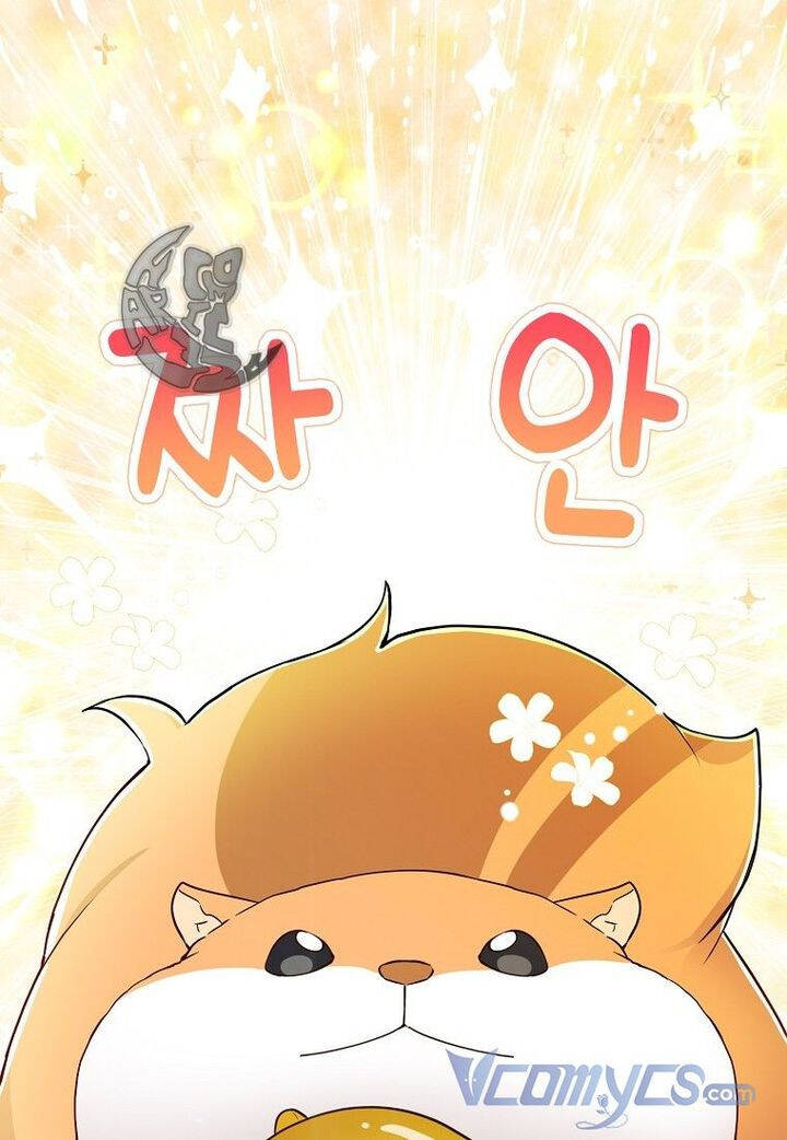 Sóc Nhỏ Tài Năng Chap 21 - Next Chap 22