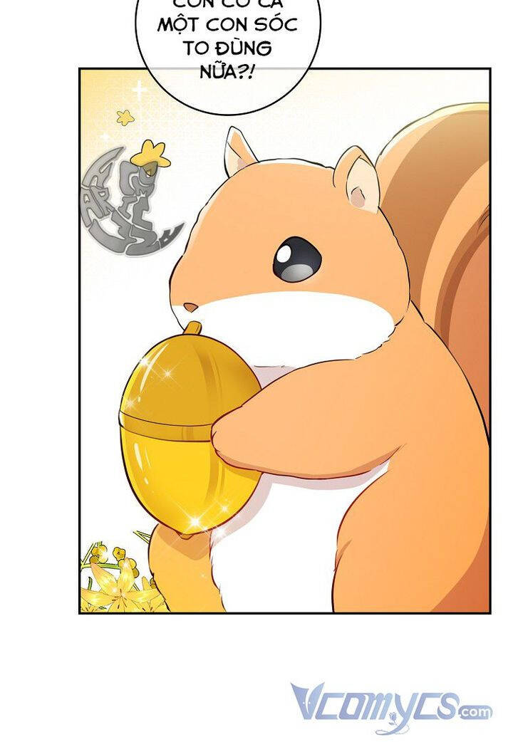 Sóc Nhỏ Tài Năng Chap 21 - Next Chap 22