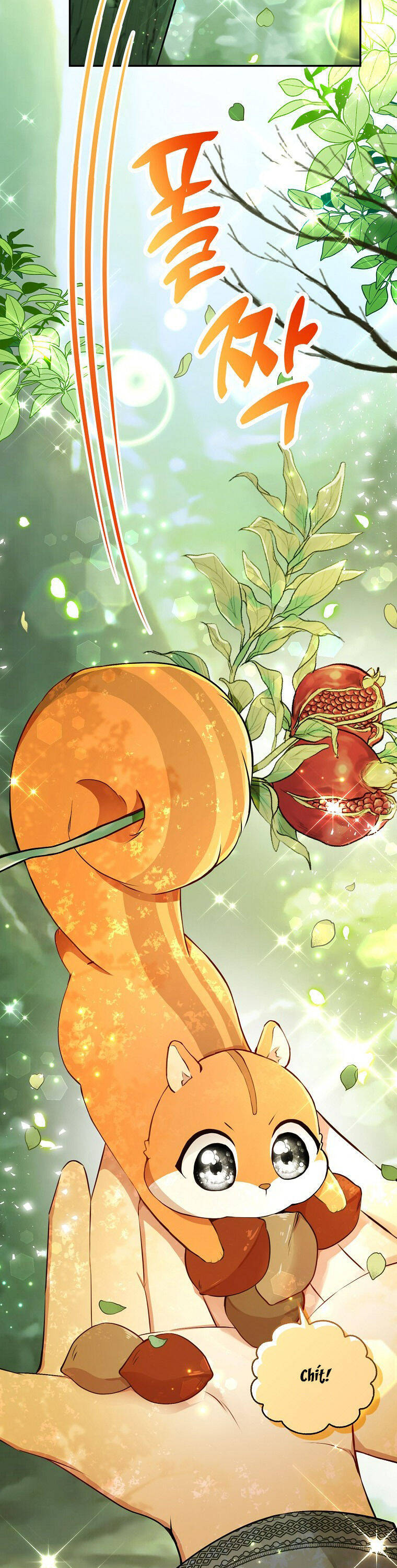 Sóc Nhỏ Tài Năng Chap 29 - Next Chap 30