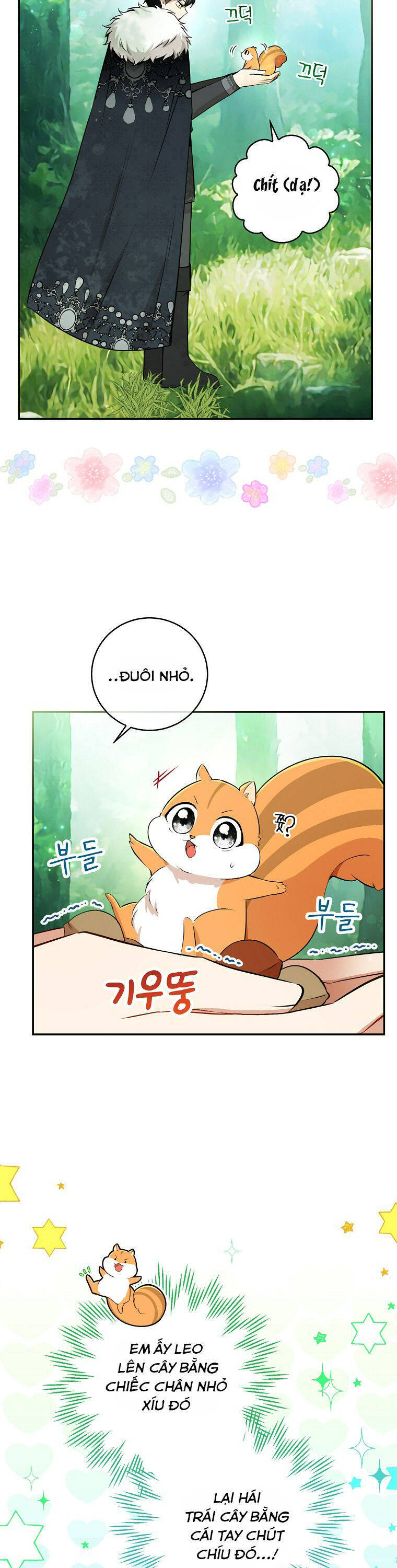 Sóc Nhỏ Tài Năng Chap 29 - Next Chap 30